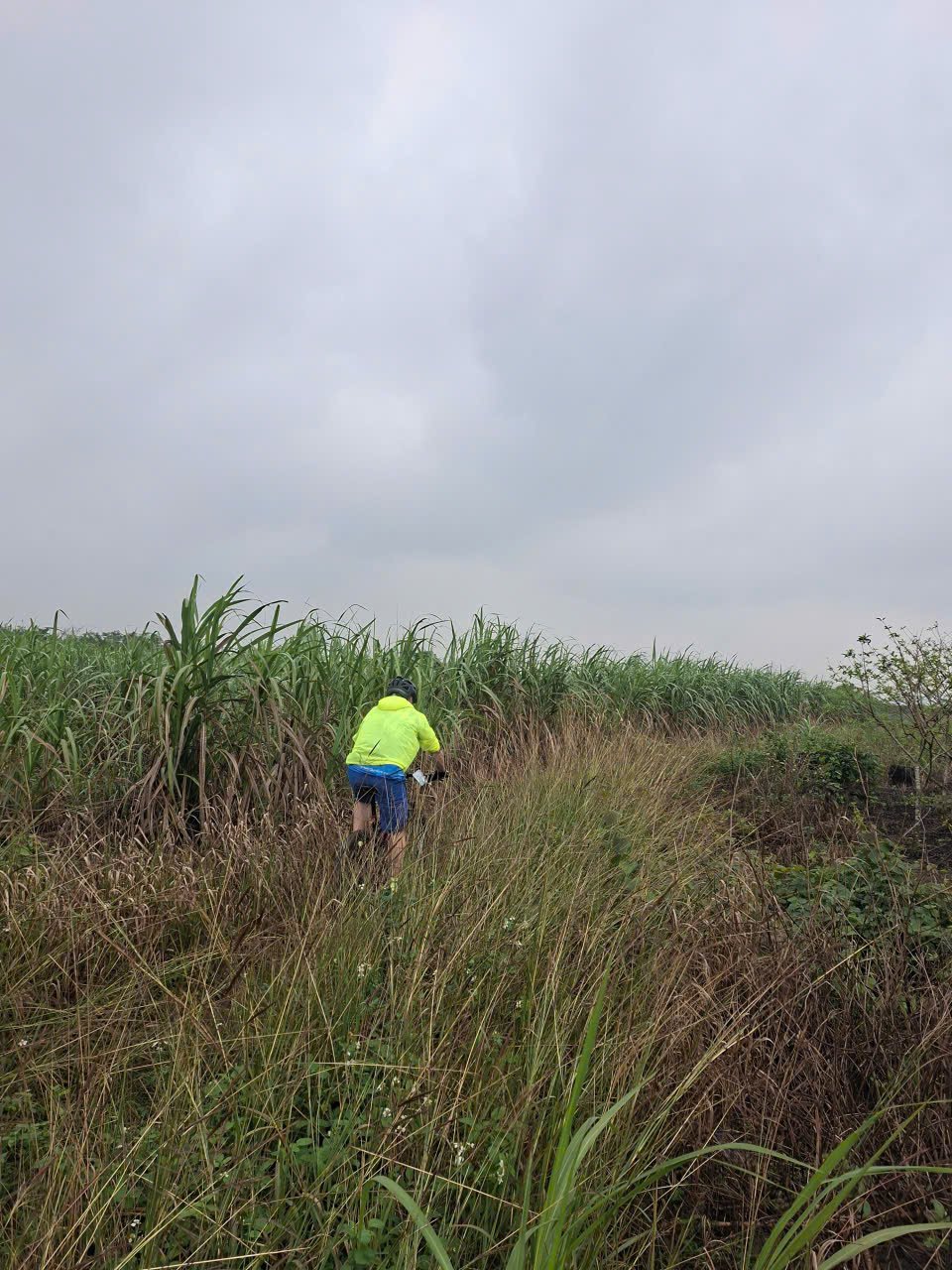 Legendary Ho Chi Minh Trail Cycling Tour Da Nang to Hanoi 12 Days